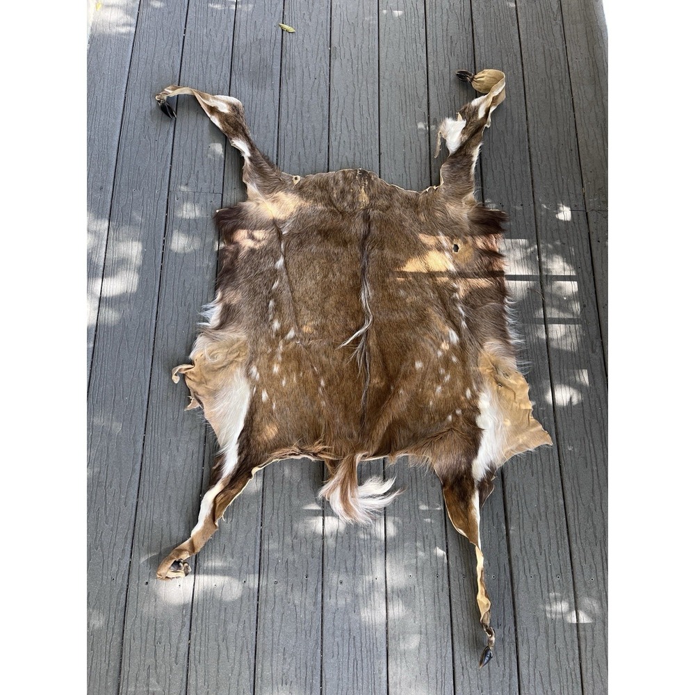 Tanned Spotted Deer Hide with Hooves 26x28 – Rustic Taxidermy Decor